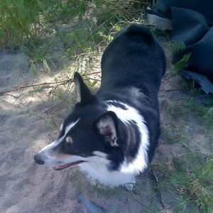 Meet your Posher, Judy